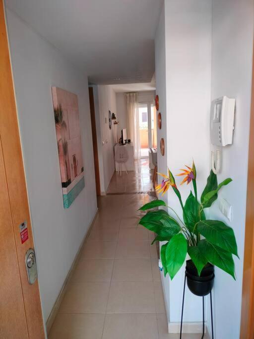 Ferienwohnung Bajo Con Jardin A Pie De Playa Y Piscina Comunitaria Con Jacuzzi Playas de Vera Exterior foto